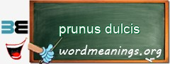 WordMeaning blackboard for prunus dulcis